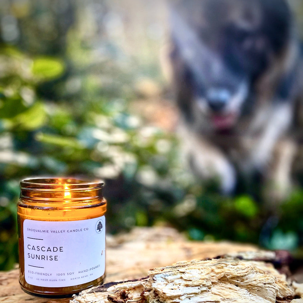 8 oz amber jar soy candle — Cascade Sunrise — Snoqualmie Valley Candle Company