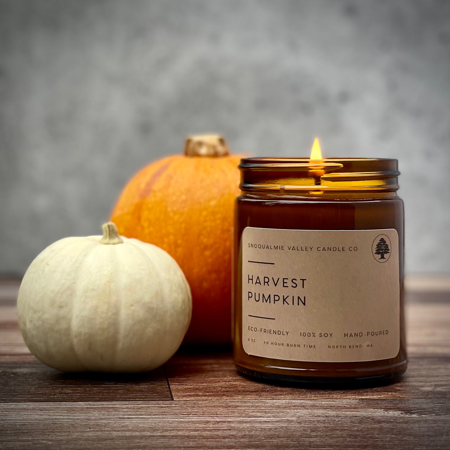 Harvest Pumpkin