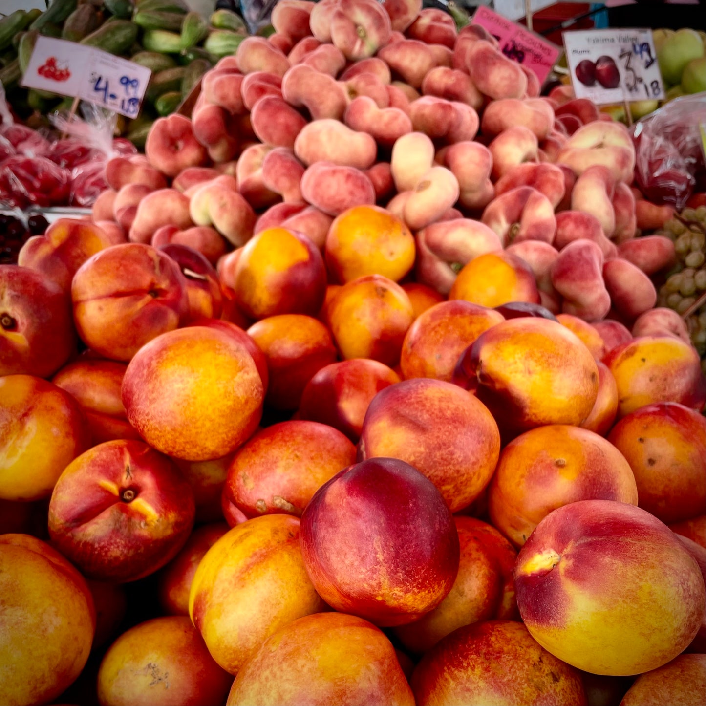 Yakima Valley Peaches