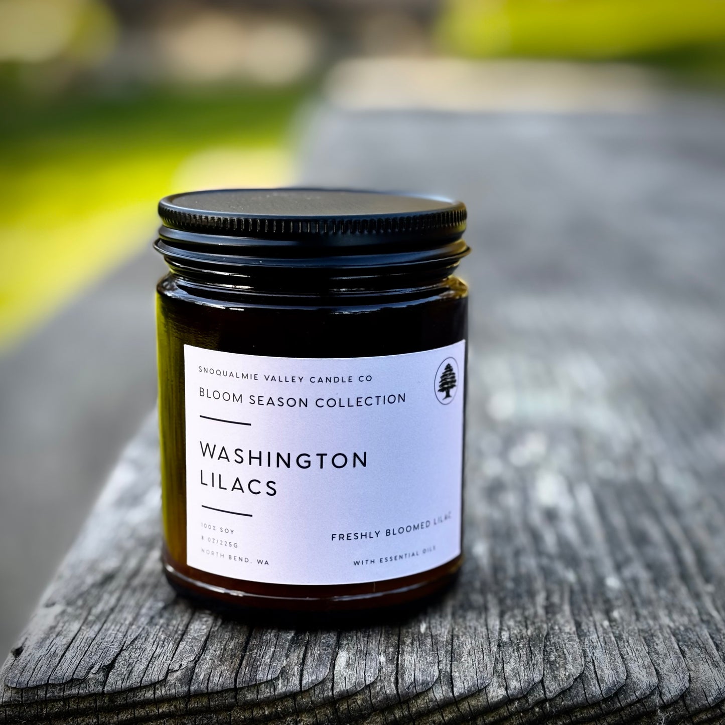 Washington Lilac
